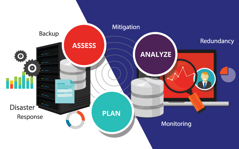 Perform IT Risk Assessment and Strategy: Assess, Plan, Analyze